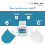 Granions L-Triptófano 60 Gelule Granions L-Triptófano 60 Gelule