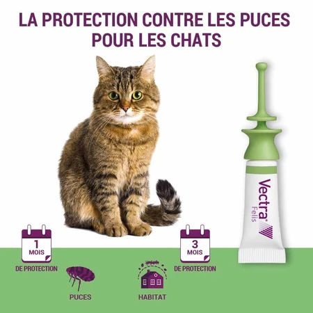 Ceva Vectra spot-on oplossing voor katten 3 pipetten