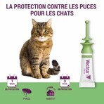 Ceva Vectra Solution spot-on pour chats 3 pipettes Ceva Vectra Solution spot-on pour chats 3 pipettes