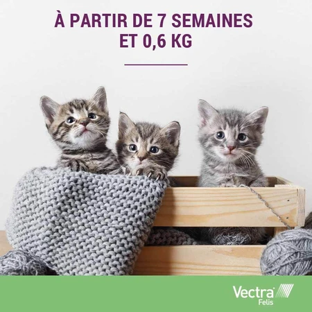 Ceva Vectra spot-on oplossing voor katten 3 pipetten