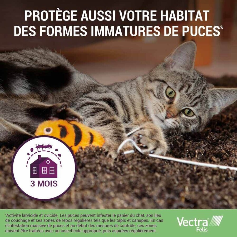 Ceva Vectra Solution spot-on pour chats 3 pipettes