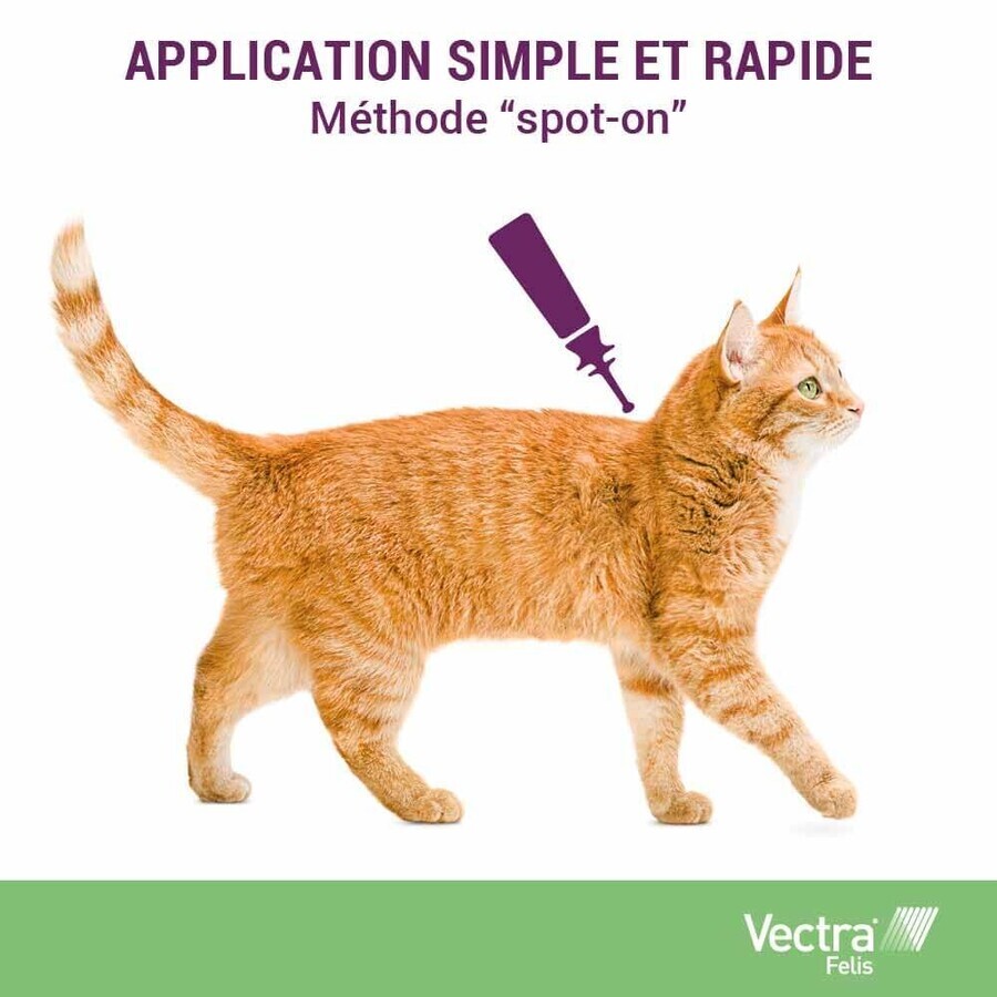 Ceva Vectra Solution spot-on pour chats 3 pipettes
