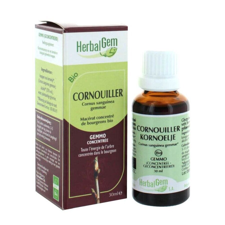 Cumpără Herbalgem Dogwood organic 30ml Herbalgem Dogwood organic 30ml