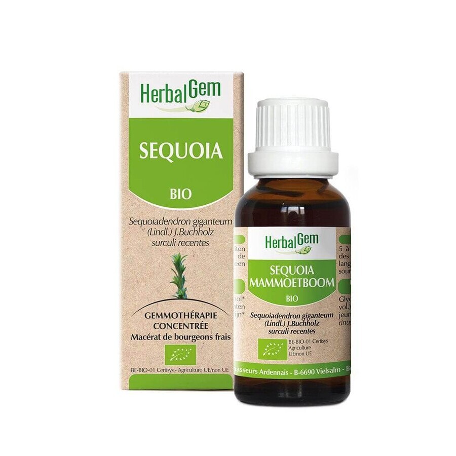 Buy Herbalgem Sequoia Organic 30ml Herbalgem Sequoia Organic 30ml