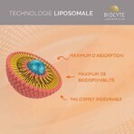 Biocyte Gezondheidsvitaminen C Liposomaal 1000mg Energie Ananassmaak 14 sticks