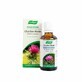 A.Vogel France Extracto de plantas frescas Cardo mariano 50ml