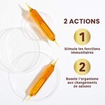 Santarome Hive Products Royal Jelly Bio 1000 MG 20 Ampoules