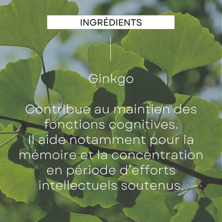 Weleda Les Extraits de Plantes Bio Mémoire et Concentration Ginkgo 100ml