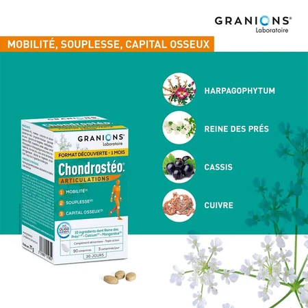 Granions Articulations 90 Chondrosteo+ Tabletten