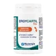 Nutergia Ergycartil Flex gewrichtsmobiliteit en flexibiliteit 90 gels