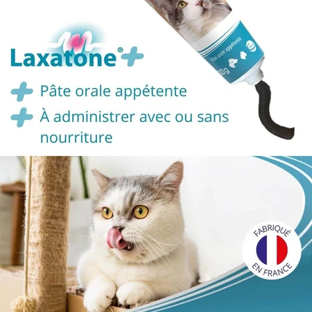 Ceva Laxatone+ 100g