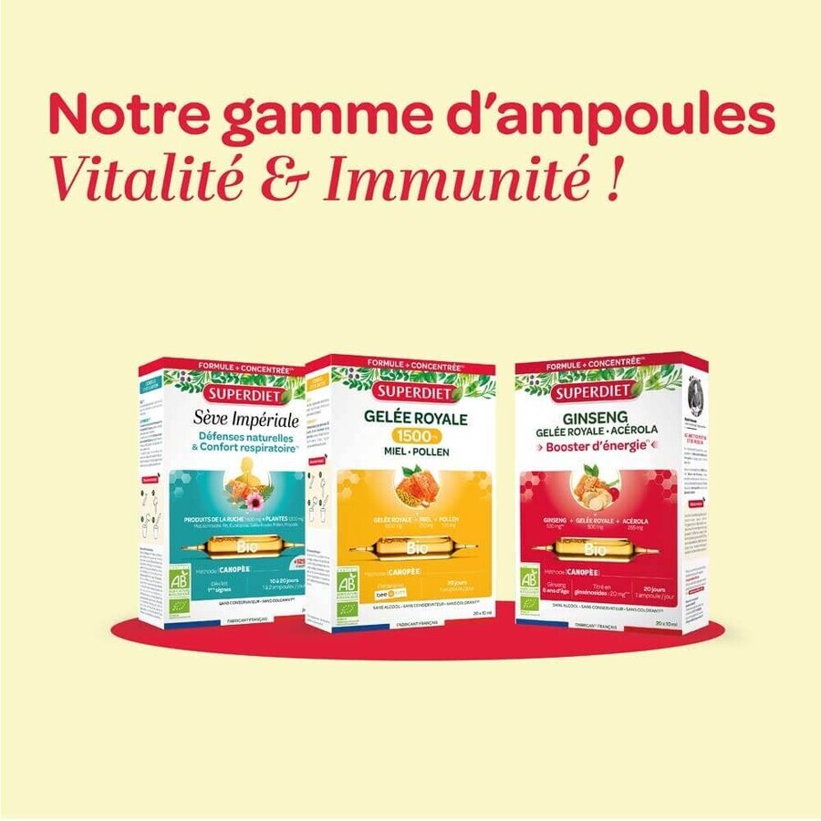 Superdiet Ginseng Gelée Royale Acerola Bio Booster d'énergie 20x10ml