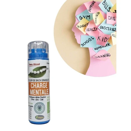 Kosmeo Bach Flowers Mental Charge Bio 120 granules