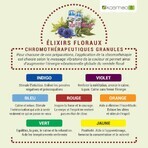 Kosmeo Fiori di Bach Carica Mentale Bio 120 granuli Kosmeo Fiori di Bach Carica Mentale Bio 120 granuli