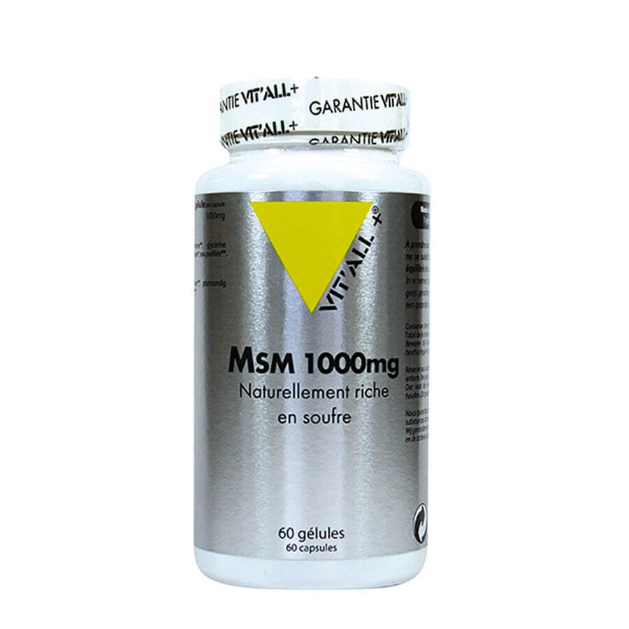 Vit'All+ Msm 1000mg 60 Kapseln