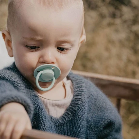 Lätzchen Bibs de Lux Anatomischer Silikonschnuller von Geburt bis 3 Jahre x2