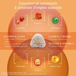 Oenobiol Sonnenschutz 2in1 Präparat und Selbstbräuner 60 gums Oenobiol Sonnenschutz 2in1 Präparat und Selbstbräuner 60 gums