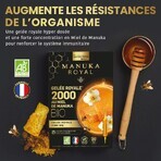 Santarome Gelée Royale 2000 Miel de Manuka Bio Immunité 20 ampoules Santarome Gelée Royale 2000 Miel de Manuka Bio Immunité 20 ampoules