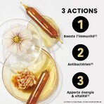 Santarome Gelée Royale 2000 Miel de Manuka Bio Immunité 20 ampoules Santarome Gelée Royale 2000 Miel de Manuka Bio Immunité 20 ampoules