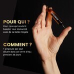 Santarome Gelée Royale 2000 Miel de Manuka Bio Immunité 20 ampoules Santarome Gelée Royale 2000 Miel de Manuka Bio Immunité 20 ampoules