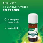 Phytosun Aroms etherische olie Tea Tree Bio 30ml