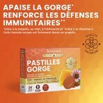 Santarome Prodotti dell'alveare Pastiglie lenitive per la gola Propolis, miele 24 Pastiglie Santarome Prodotti dell'alveare Pastiglie lenitive per la gola Propolis, miele 24 Pastiglie