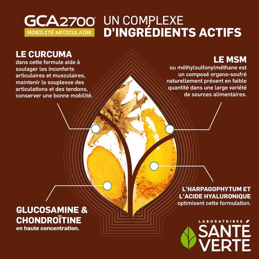 Sante Verte GCA Artikulationen 60 Tabletten