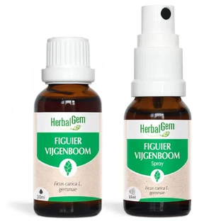 Herbalgem Bourgeons Figuier Bio Solution Buvable 30ml + Spray 15ml