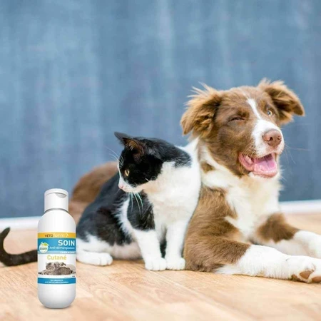 Vetoform Anti-Juckreiz-Milch für Hunde und Katzen 125 ml