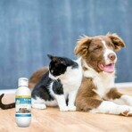 Vetoform Chien et Chat Lait anti-démangeaisons Vetoform 125ml Vetoform Chien et Chat Lait anti-démangeaisons Vetoform 125ml