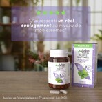 Arkopharma Arkogélules Acidité Gastrique Orme rouge & Zinc 40 Gélules Arkopharma Arkogélules Acidité Gastrique Orme rouge & Zinc 40 Gélules