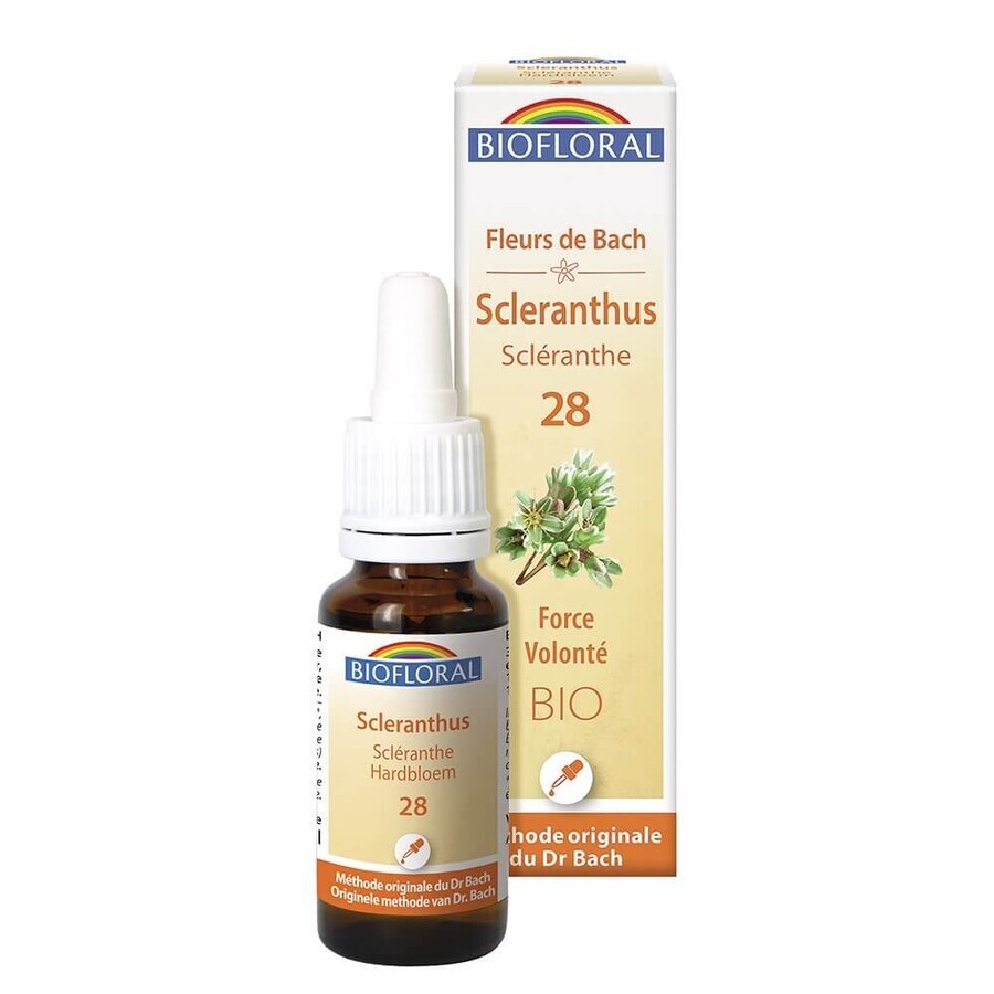 Biofloral N°28 Scleranthe Bio Demeter Fleurs De Bach Force Volonte 25ml