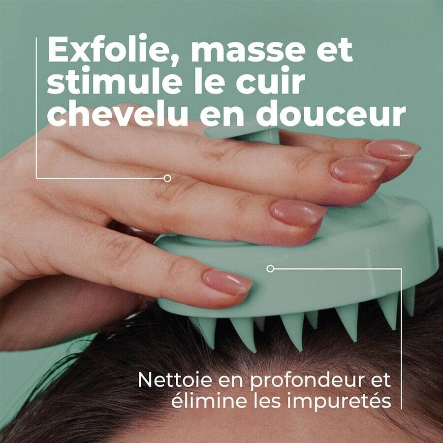 Energie Fruit Brosse Cuir Chevelu Massante Detox Energie Fruit Brosse Cuir Chevelu Massante Detox