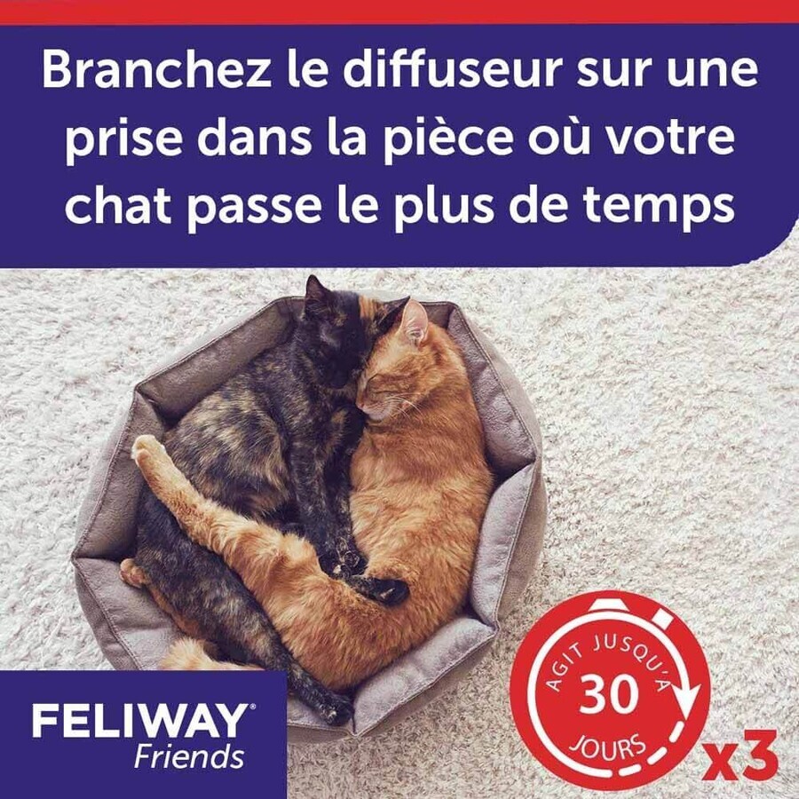 Feliway Vrienden Katten Heureux Harmonie Durable Navullingen tussen Katten 3x48ml