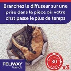 Feliway Vrienden Katten Heureux Harmonie Durable Navullingen tussen Katten 3x48ml Feliway Vrienden Katten Heureux Harmonie Durable Navullingen tussen Katten 3x48ml