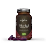 Hifas da Terra Mico-rei Organic 70 Geluli