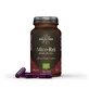 Hifas da Terra Mico-rei Bio 70 Geluli