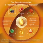 Oenobiol Sun Expert Préparateur Solaire 2x30 Capsules Oenobiol Sun Expert Préparateur Solaire 2x30 Capsules