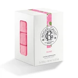 Roger & Gallet Rose Beneficial Soap Gift Box Set Plant Base 3x100g
