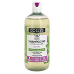 Coslys Organic anti-roos shampoo Haar met roos 500ml