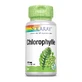 Solaray Chlorophyll 100 mg Tabletten x90