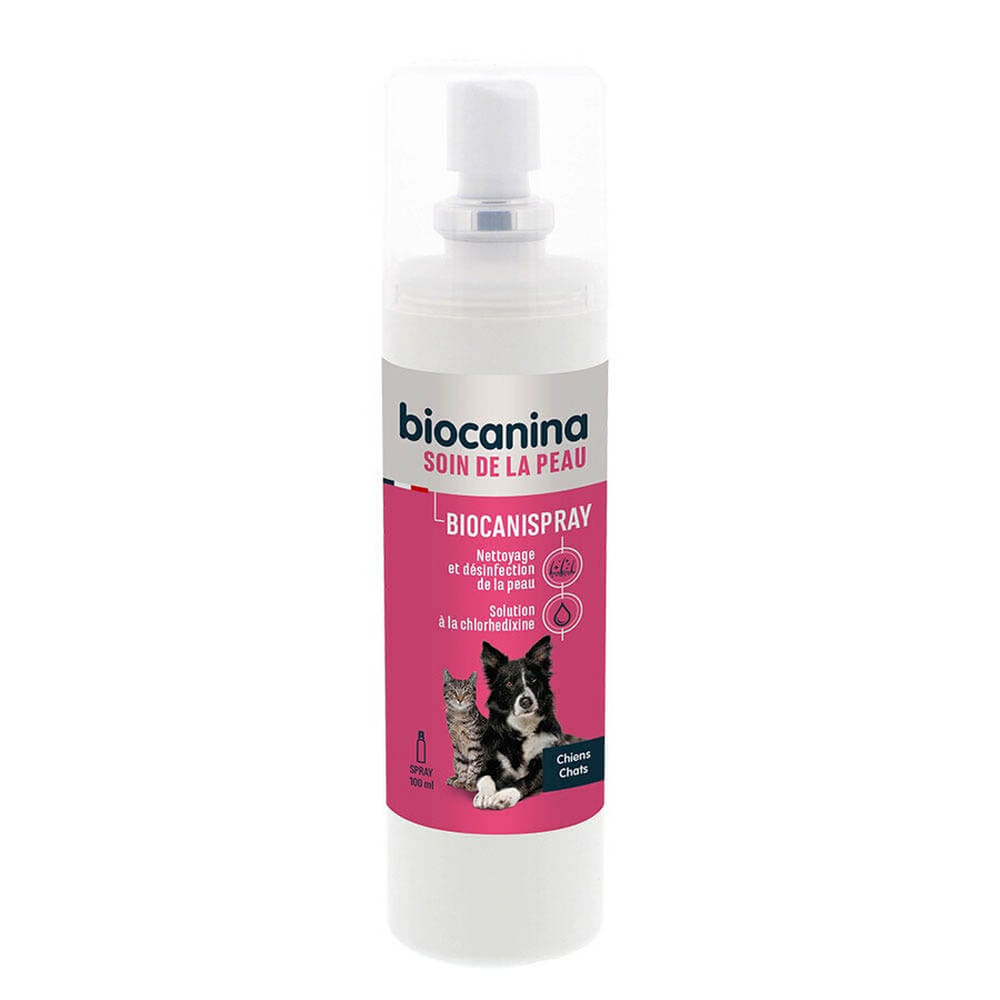 Winkel op Biocanine Dermatologie BIOCANISPRAY CLOREXYDINE 100ml Biocanine Dermatologie BIOCANISPRAY CLOREXYDINE 100ml