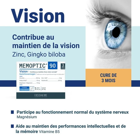 Densmore Memotic Vision 90 capsules