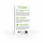 Arkopharma Arkocapsule Shiitake Maitake Reishi Organic x40 capsule