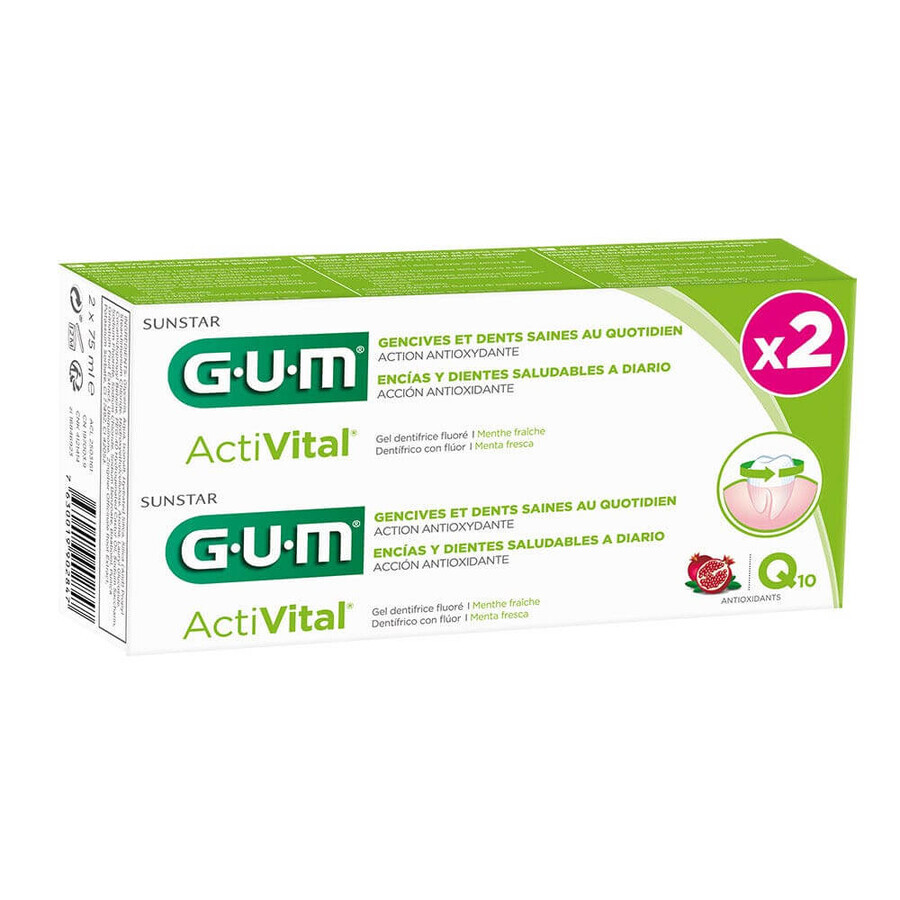 Gum ActiVital Toothpaste Q10 for healthy teeth and gums 2x75ml