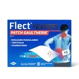 IBSA Flect'Expert Wintergrün Menthol Patch x5