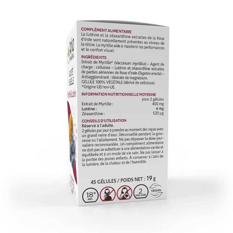 Arkopharma Arkogélules Acuité Visuelle Myrtille & Lutéine 45 Gélules