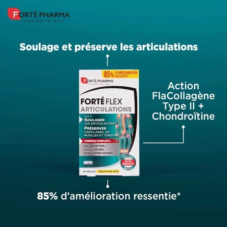 Forté Pharma Forté Flex Artikulationen 90 Gele