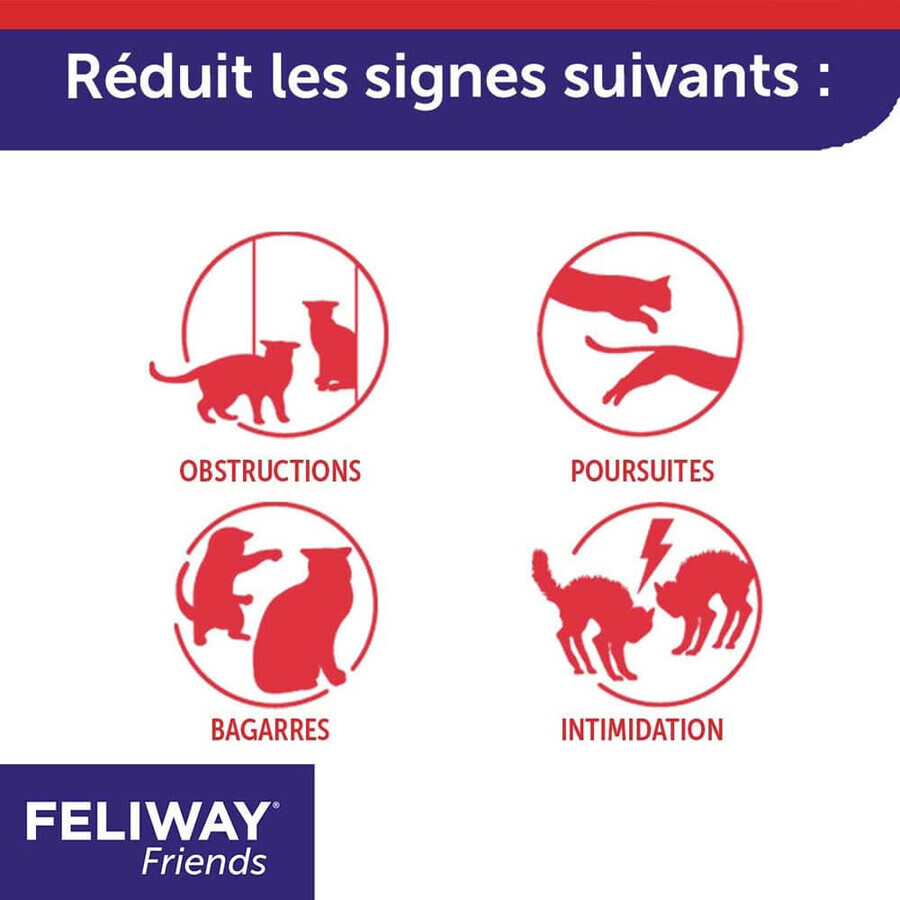 Feliway Friends Recambio de feromonas para difusor Cat with Friends 48ml Feliway Friends Recambio de feromonas para difusor Cat with Friends 48ml