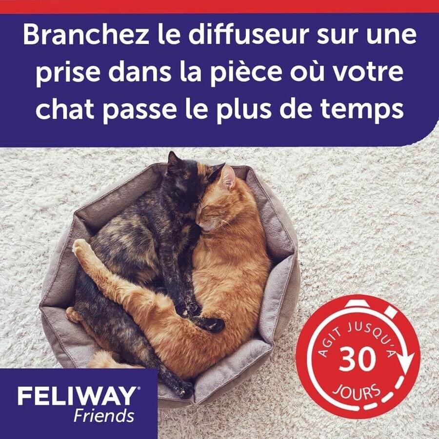 Feliway Friends Recambio de feromonas para difusor Cat with Friends 48ml Feliway Friends Recambio de feromonas para difusor Cat with Friends 48ml